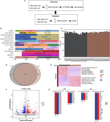 LC-MS/MS analysis reveals plasma protein signatures associated with lymph node metastasis in colorectal cancer